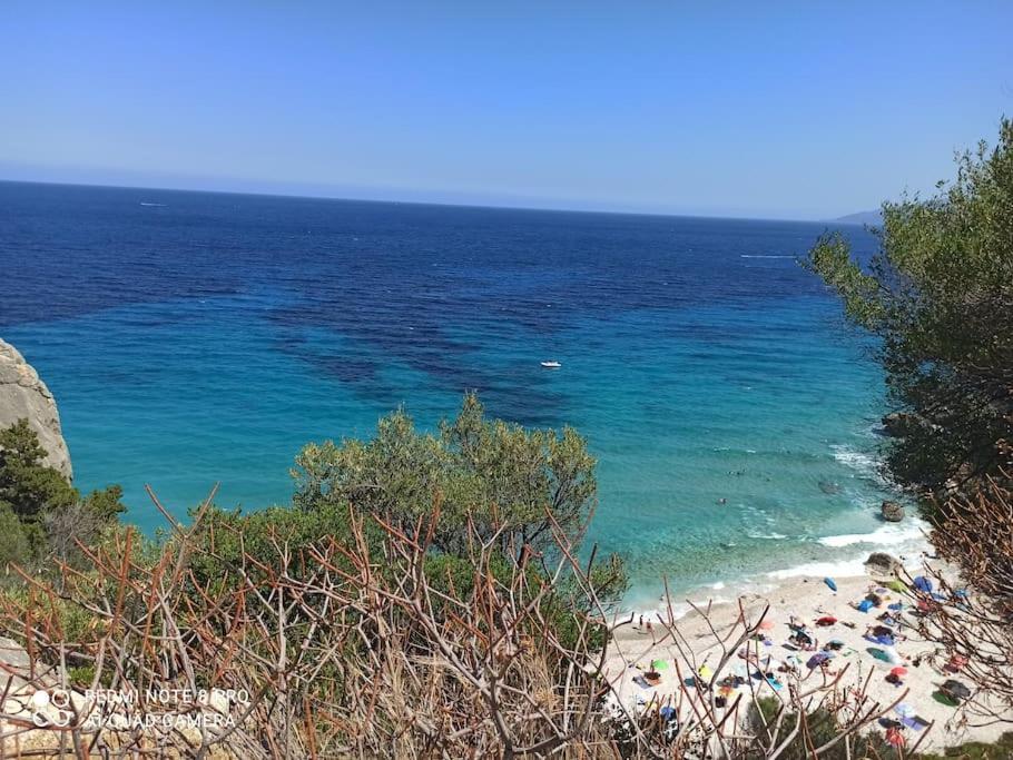 Haiku Home Cala Gonone Dış mekan fotoğraf