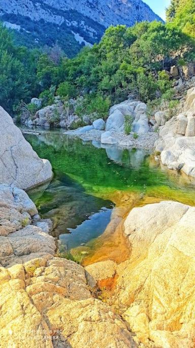 Haiku Home Cala Gonone Dış mekan fotoğraf