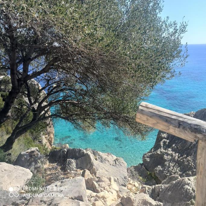 Haiku Home Cala Gonone Dış mekan fotoğraf