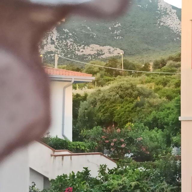 Haiku Home Cala Gonone Dış mekan fotoğraf