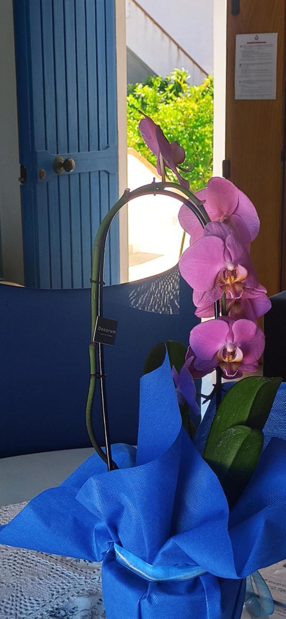 Haiku Home Cala Gonone Dış mekan fotoğraf